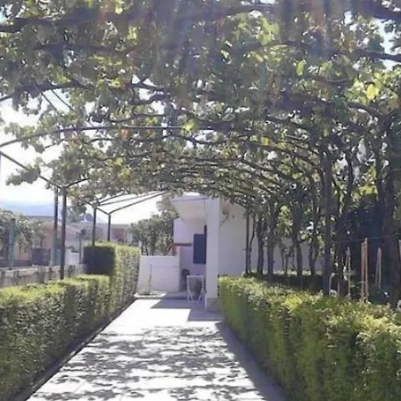 House 28